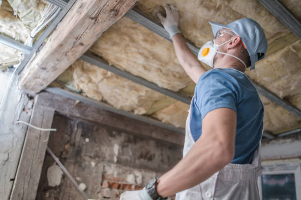 Best Insulation for Specific Applications in Newbern, TN