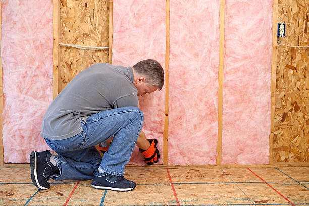 Best Commercial Insulation in Newbern, TN
