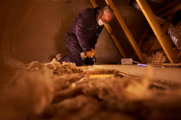Best Insulation Maintenance and Repair in Newbern, TN